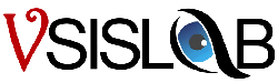 VSISLAB logo